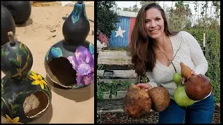 How to Grow Your Own Birdhouse (Birdhouse Gourd Crafting)