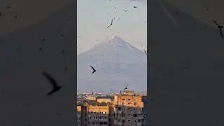 Ереванское доброе утро! Բարի լույս: Пусть небо будет мирным! #армения #ереван #shorts #арарат #небо