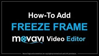 How to Add Freeze Frame in Movavi Video Editor