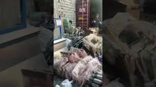 6 июля 2024 г.