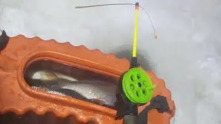 Ловля КРУПНОЙ сороги и налима ОБЖОРЫ! Fishing in Yakutia! 4k!!! 14.02.2024г.