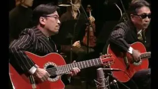Acoustic eel - GONTITI
