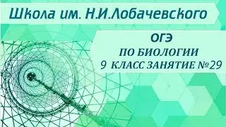 ОГЭ по биологии 9 класс.  Занятие 29. Царство животные. Подцарство многоклеточные.