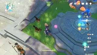 Doggos