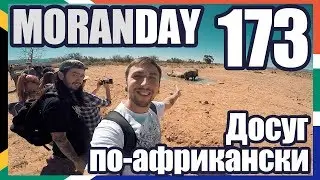 Moran Day 173 - Досуг По-Африкански (ЮАР) 🇿🇦
