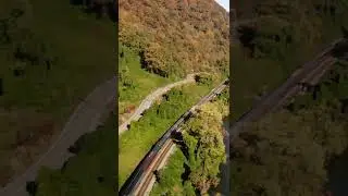 Autumn Color Express special passenger train in Eagle, WV #shorts