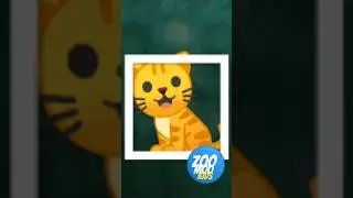 Cada Um No Seu Quadrado 😺 🐰 🐶#emoji cat rabbit dog