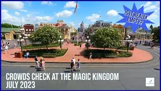 Are the Disney World Summer Crowds gone?  | POV Check  | Disney VLOG