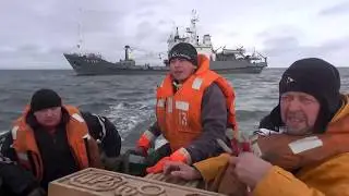 Терско-Орловский маяк 2019