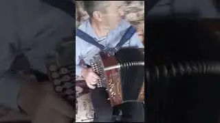 Гармонь ТОКАРЕВ