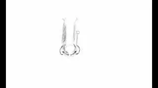 Tutorial for Drawing a Nose
