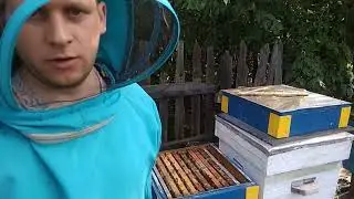 15 сентября 2021 года убираем кормушки семья готова к зимовке