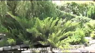 Водоёмы на даче, ландшафтный дизайн