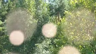 Йәмле йәй 22.
