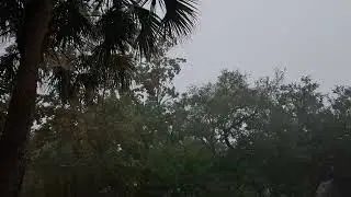 Rain And Wind For Sleeping And Relaxing  #asmr #asmrsounds #deepsleep #rainsounds #Relaxingrain