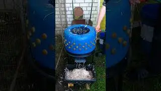 Перощипалка финал