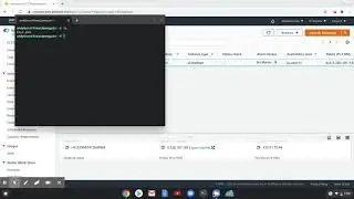 Bioinformatics 03b: Accessing your EC2 instance from your Chromebook