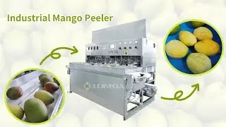 Efficient Industrial Mango Peeler: Streamlining the Skin Removal Process | Mango Peeling Machine