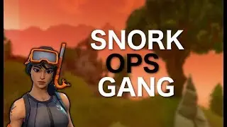 FORTNITE | SOLO SQUAD 14 BOMB | COBRAZ