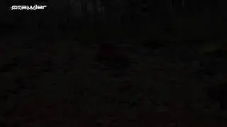 This Jeep RC Red Carries a FULL LOAD Through Extreme Mud,UNSTOPPABLE!, Team 4