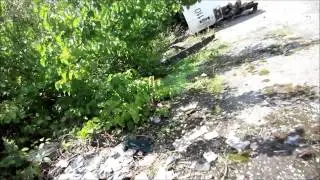 Троллейбусное депо Сухуми (Август 2014)