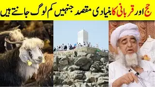 The main purpose of Hajj and Qurbani || Mufti Zarwali Khan Official