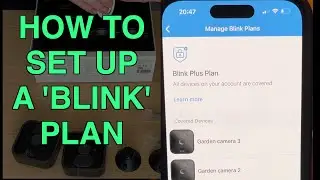 How To Set Up A Blink Subscription Plan