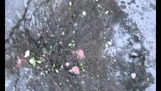 Больница им.Калинина Донецк