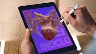 BioCloud 3D interactive anatomy #MedicalStudentTraining