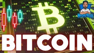 Bitcoin BTC Price News Today! Elliott Wave Technical Analysis Prediction #crypto Insight Tamil/தமிழ்