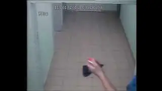 Скрытая камера в подъезде. Спалились:)