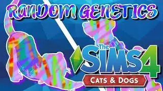 Random Pet Genetics - The Sims 4: 🐱🐶 Cats And Dogs