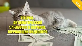 Серый заработок Телеграм