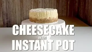 Instant Pot Cheesecake #17 (Tips and Tricks)