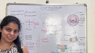 Secondary Growth | Vascular Cambium | Cambial ring | Origin of Vascular Cambium | Anatomy of plants