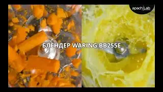 Блендер Waring BB255E