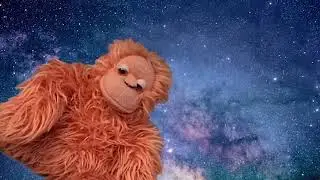 MONKEY VS 2-2