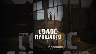 S.T.A.L.K.E.R - Голос Прошлого. Рассказчик Сидорович
