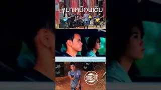 หมาเหมือนเดิม - วงกลม | TMG RECORD
