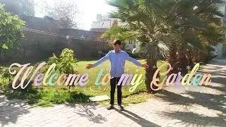 My beautiful garden tour| My beautiful garden | winter 2021| Foodieguy videos