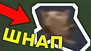 КОТ ТАНЦУЕТ — ОТКУДА МЕМ? 🐱 Котик Танцует Под Весёлую Музыку - Шнип Шнап Шнаппи | Откуда Мем 🤪