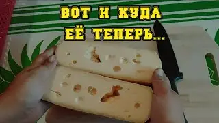 FAILURES IN CHEESE MAKING - CHEESE FAULTS// cheese care, opening - MAASDAM, CANESTRATO, looking a...