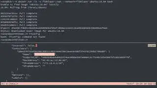 Docker in Development - Using Docker Networks and Volumes Manually