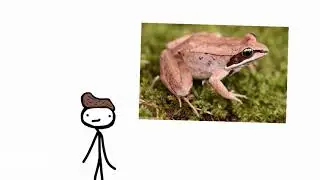 Al O’ Nella: Tree Frogs