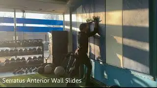 Serratus Anterior Wall Slide
