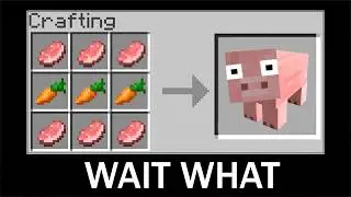 Minecraft wait what meme (part 14) - Crafting Pig