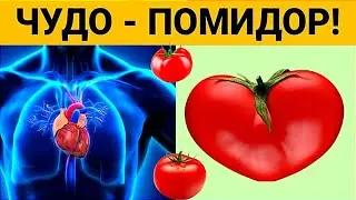 Что творит ПОМИДОР с ОРГАНИЗМОМ, когда ВЫ его едите?