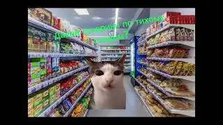 Пов: поход в магазин. Мемные коты. Смешные видео. Funny videos.#teddycat #мемыскотами #funnyvideo.