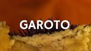 Carne Doce - Garoto (Libras e letra)
