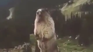 Ba.......Crăciun fericit!!!